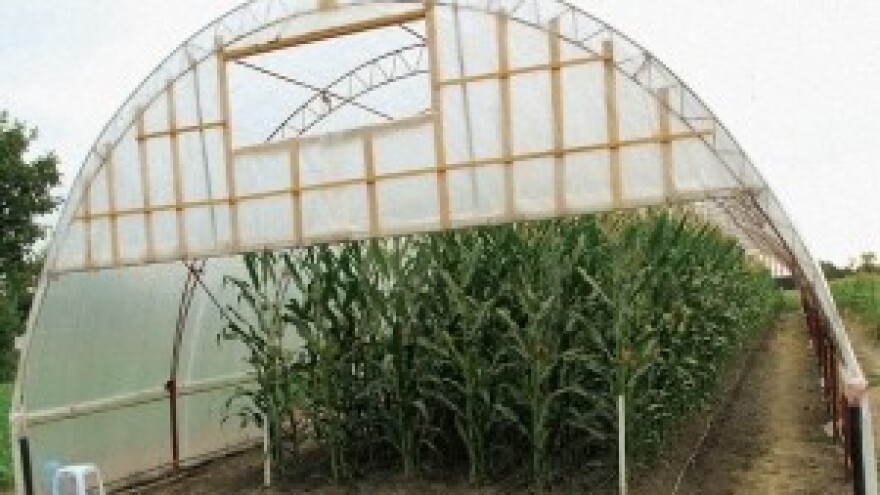 Povećajte prinose u stresnim uvjetima