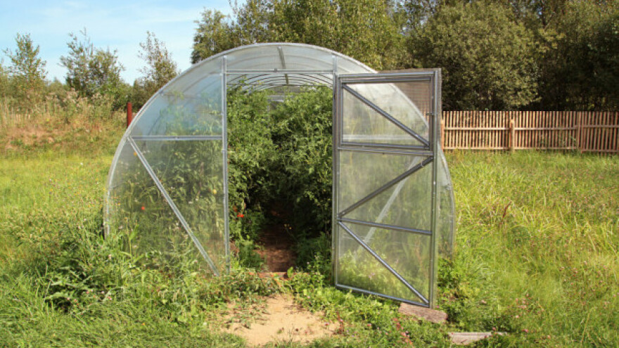 Kako pripremiti staklenik za zimski period