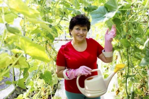 Savjeti za podizanje plastenika i staklenika