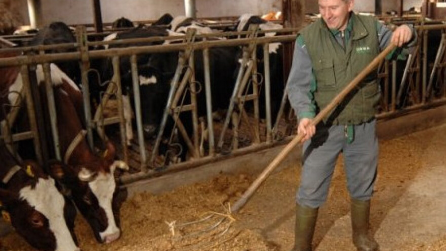 Domaća hrana propada, a uvozna dolazi u trgovine