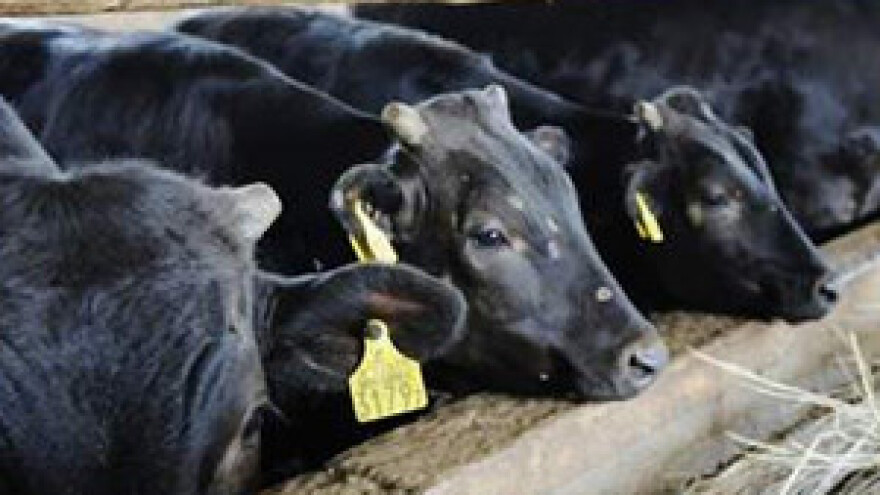 Japan zabranio pošiljke govedine iz Fukushime