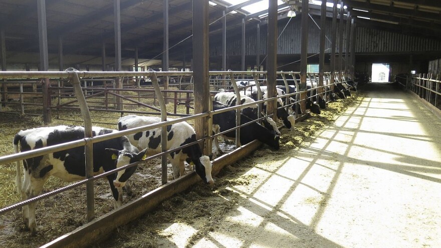 Tretiranje insekata u stočarskim objektima