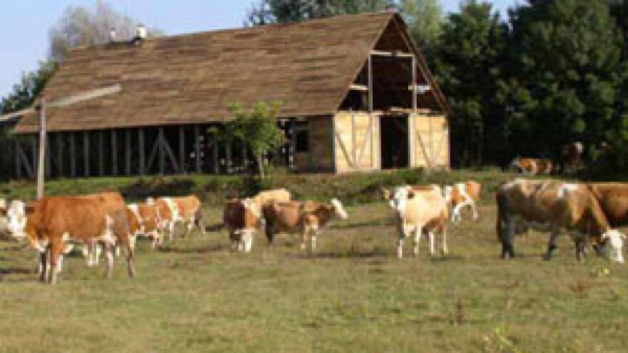 Hitna izmjena zakona za ubrzano legaliziranje farmi