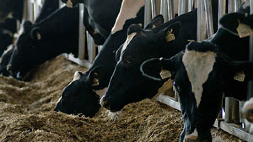 Legalizacija poljoprivrednih objekata jeftinija i do 75 posto