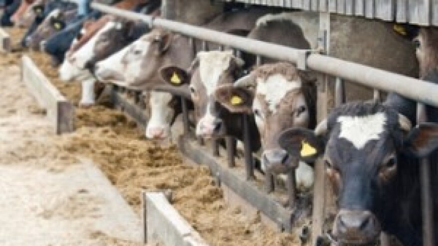 Zbog prevelikih troškova ne mogu legalizirati štale