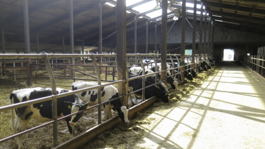 Legalizacija pomoćnih i ekonomskih objekata