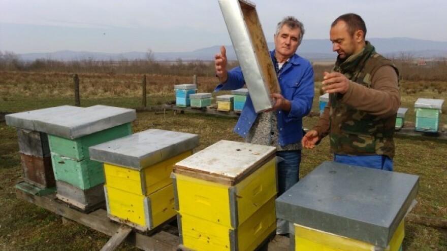 Nositelji pčelarstva Općine Dragalić!