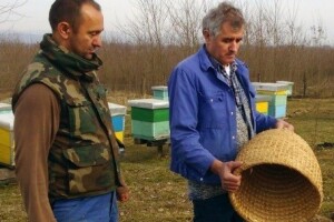 Pčelari izvoze polovinu proizvodnje meda