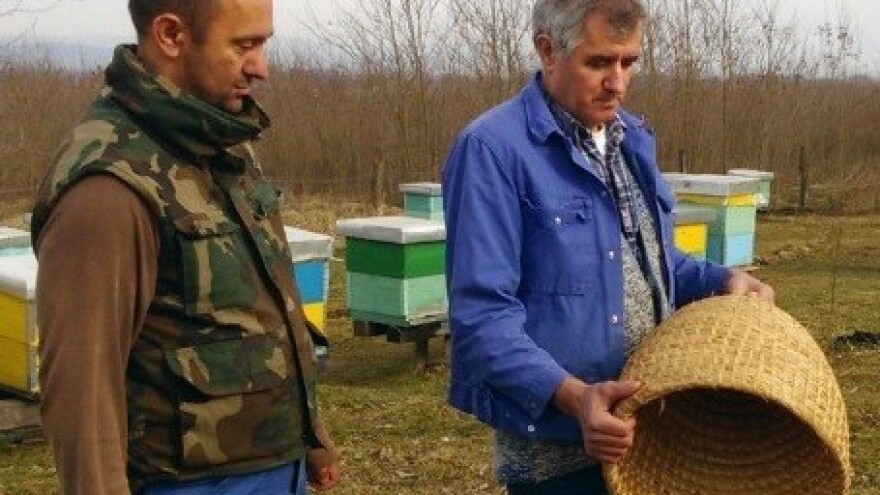 Pčelari izvoze polovinu proizvodnje meda