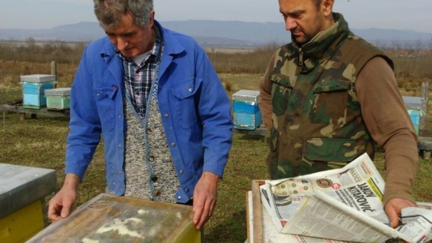 Hrvatski medovi su sve kvalitetniji i traženiji