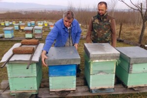 Sudjelujte u izradi nacionalnog pčelarskog programa