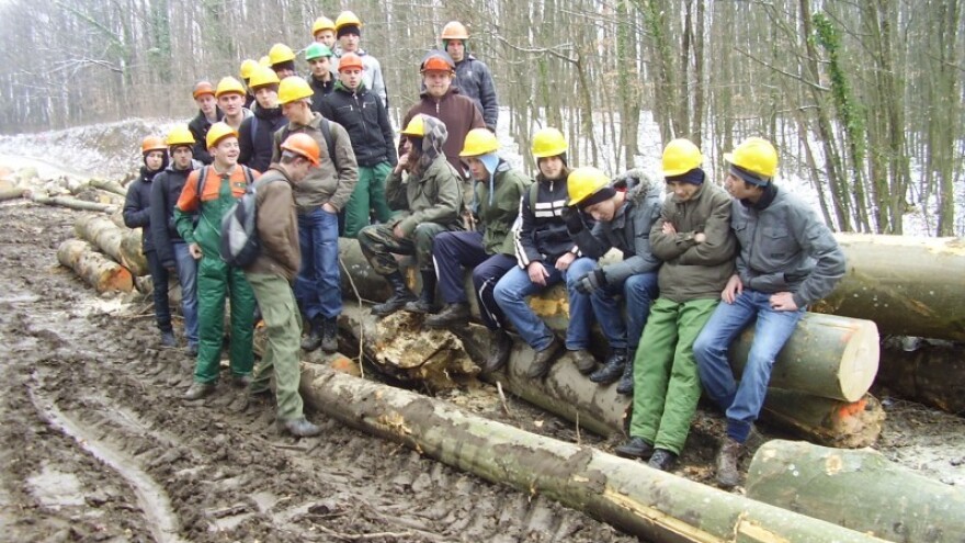 Jela u najlošijem stanju - jasen ju sustiže!