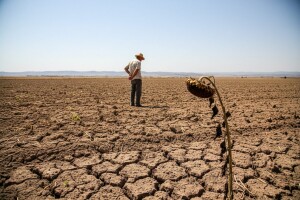Stanje u domaćoj poljoprivredi gore je nego u ratu