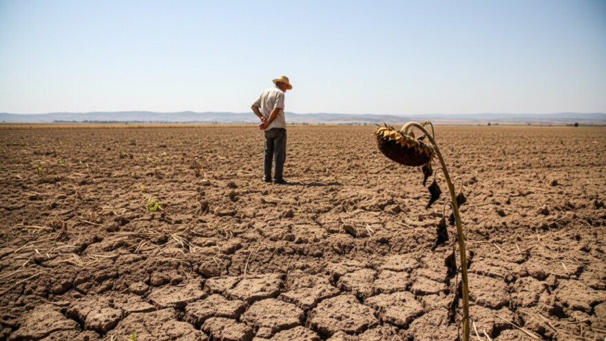 Stanje u domaćoj poljoprivredi gore je nego u ratu