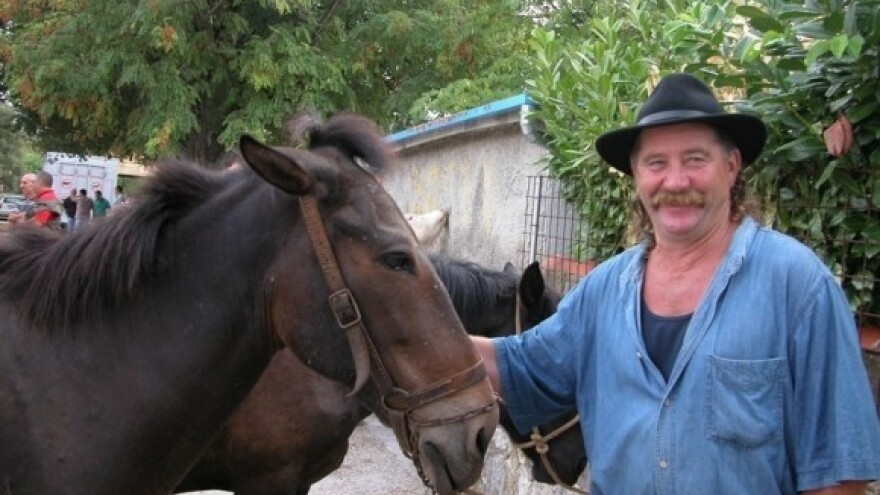 HPK ima rješenje za pčelare i uzgajivače konja