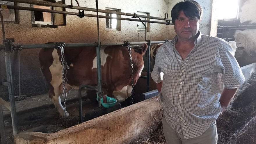 Cena mleka od oko 50 evrocenti je realna?