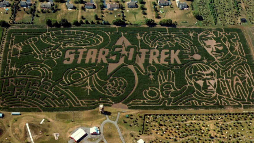 Na polju kukuruza oživjele Zvjezdane staze!