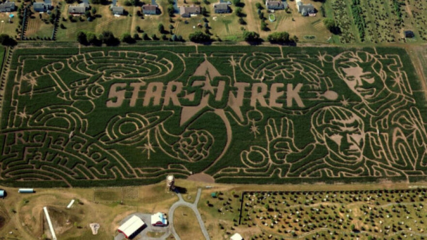 Na polju kukuruza oživjele Zvjezdane staze!