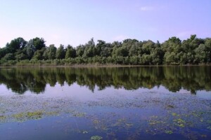 U porastu vodostaj Dunava i Drave