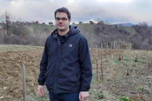 Stara hrvatska belina i vivodinske mirisavke, sorte vinove loze kojima slijedi revitalizacija