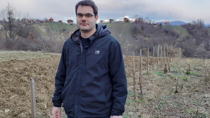 Stara hrvatska belina i vivodinske mirisavke, sorte vinove loze kojima slijedi revitalizacija