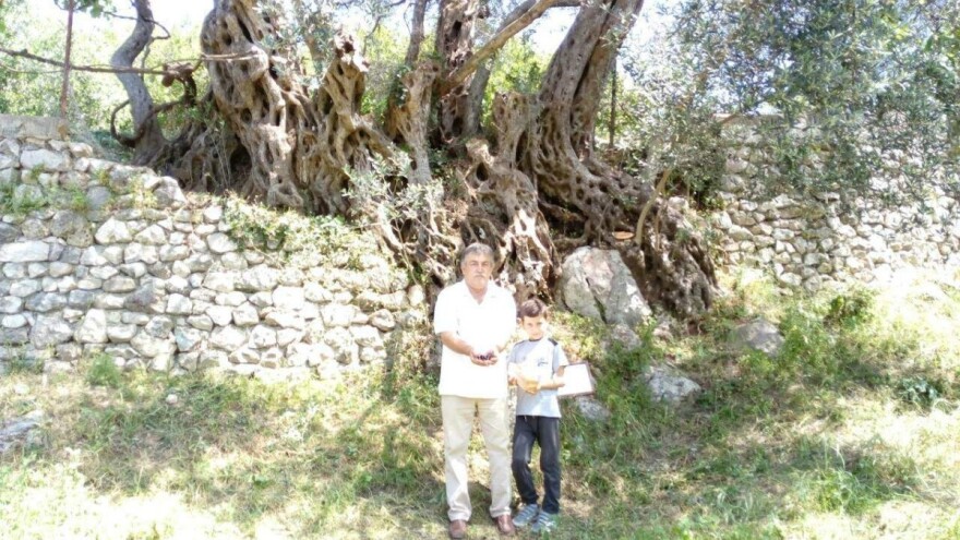 Vebija Abazović proizveo ulje od masline stare  2.056 godina