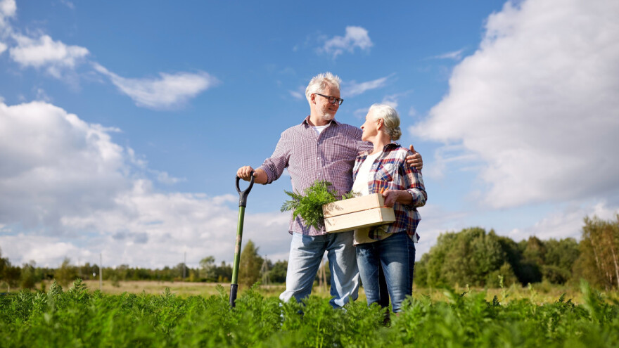 Inicijativa za bolji položaj staračkih domaćinstava na selu