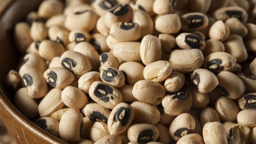 Banka semena pruža nove mogućnosti poljoprivrednicima