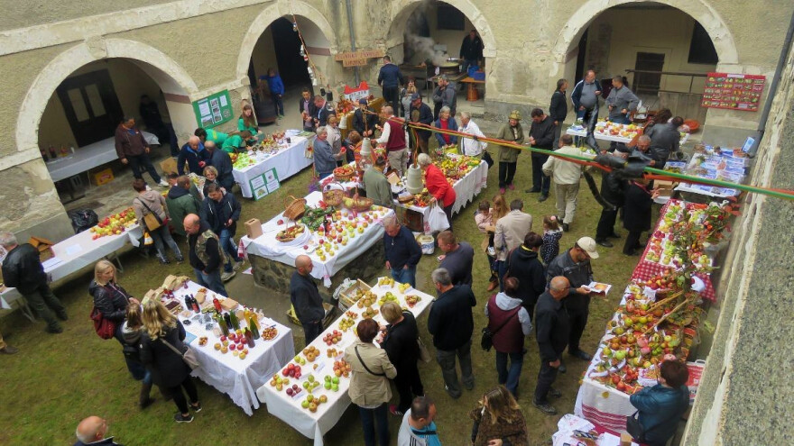 Izložba starih sorti voća i povrća ove subote u Cerniku!