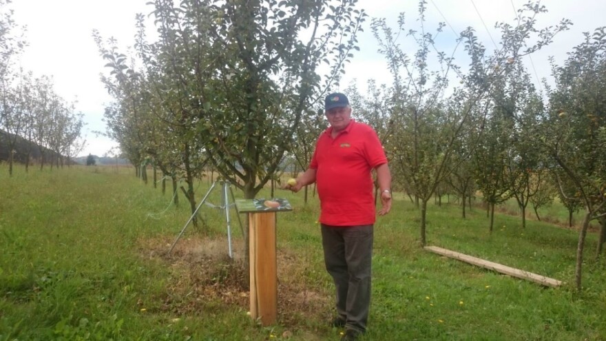 Mladen Dobranić: Stare sorte jabuka možda nemaju lijepi izgled i cijenu kao industrijska, ali je velika razlika u okusu i mirisu