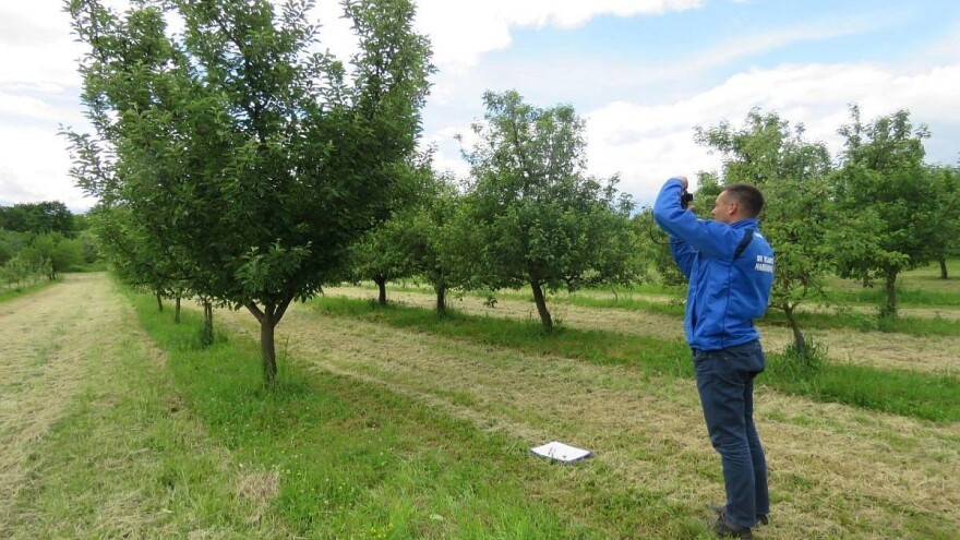Vojvođani i Slavonci zajedno u projektu očuvanja starih sorti voća