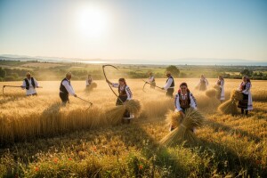 Stare žetvene svečanosti u Zrinskom Topolovcu
