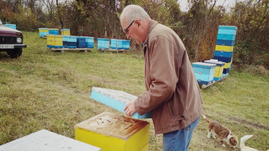 SPOS: Otkazano otvaranje pogona "Naš med", a na pčelinjak samo uz oprez