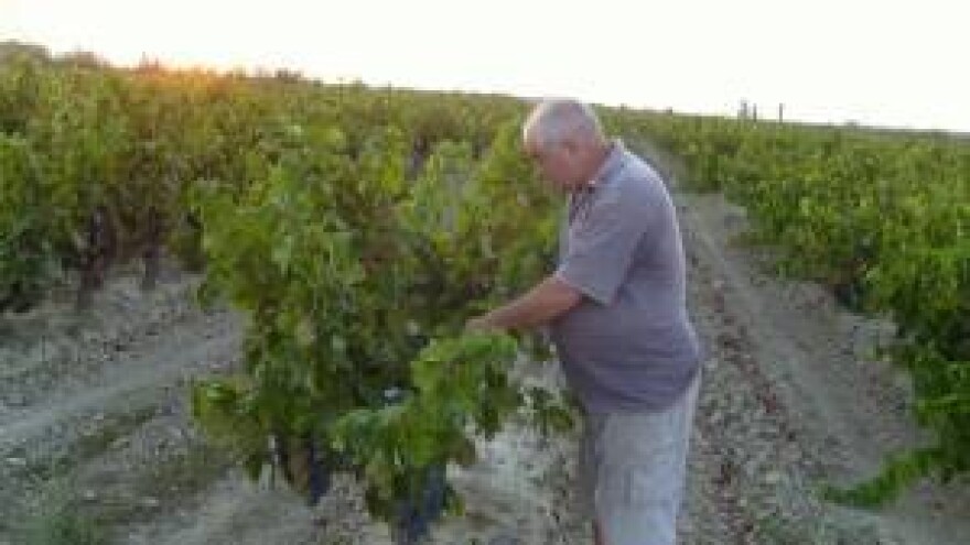 Vremenske neprilike uzele danak