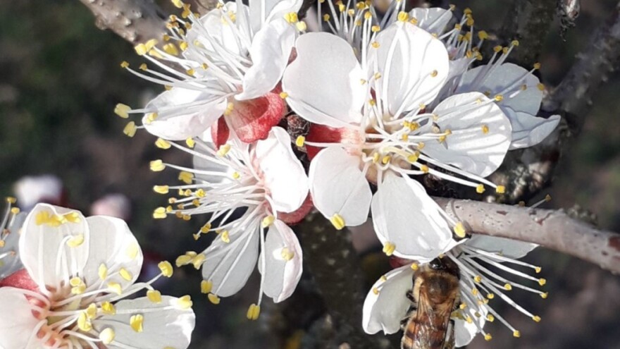 Od subote pretežno sunčano