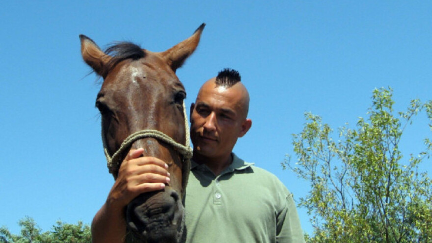 Azilu za konje potrebna hrana