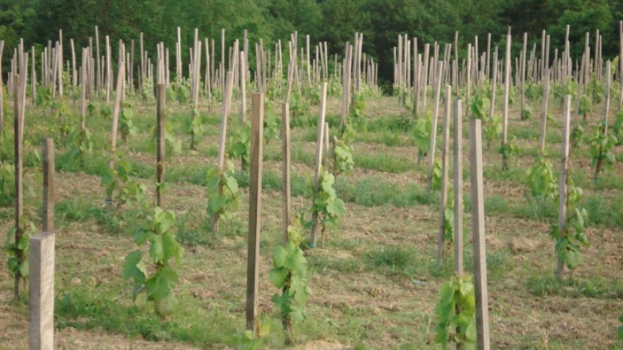 Slučaj neisplaćenih subvencija OPG Šteović