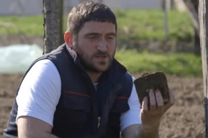 Šumski materijal kao organsko đubrivo