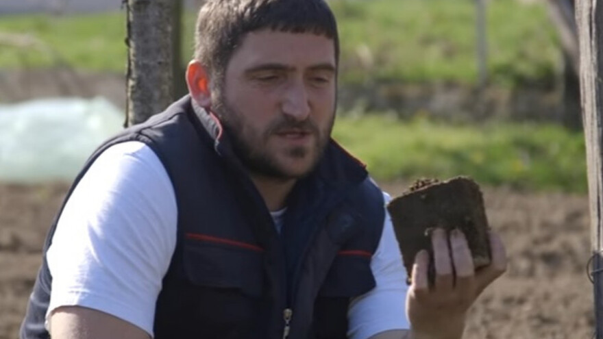 Šumski materijal kao organsko đubrivo