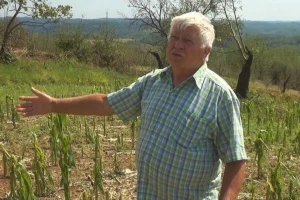 Kod Milivoja grad uništio kukuruz, šljive, kupine... Kako će se oporaviti?