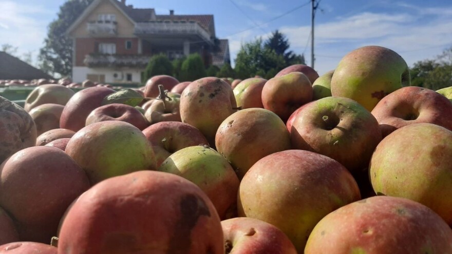 Zahtjeve za poticaje podnesite do 5. oktobra, koje mjere su obuhvaćene?