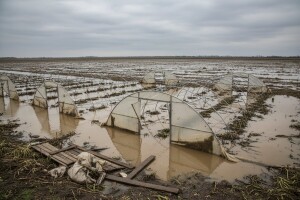 Šteta od poplava u Trsteniku 172 miliona dinara