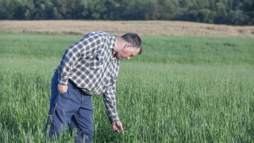 Jakovina se brani rebalansom - a odšteta?