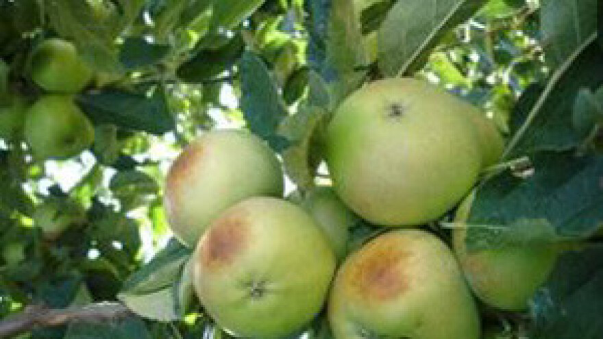 Pokriće samo 25 posto šteta