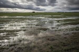 Štete od kiša više od 200 milijuna kuna