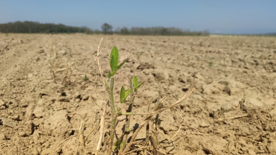 Očuvanje planeta i čovječanstva podrazumijeva i očuvanje tla