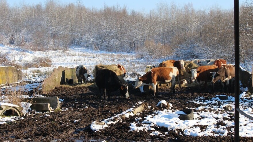 Novih 2,6 milijuna eura za tip operacije 5.2.1