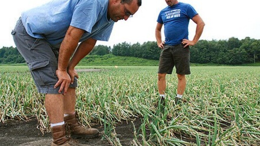 Elementarne nepogode u nekoliko županija!