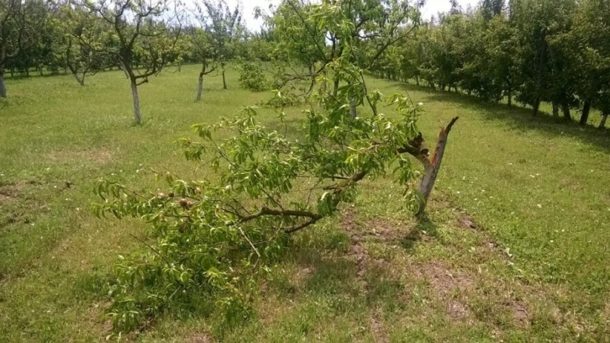 Elementarna nepogoda za Tordince i Trpinju