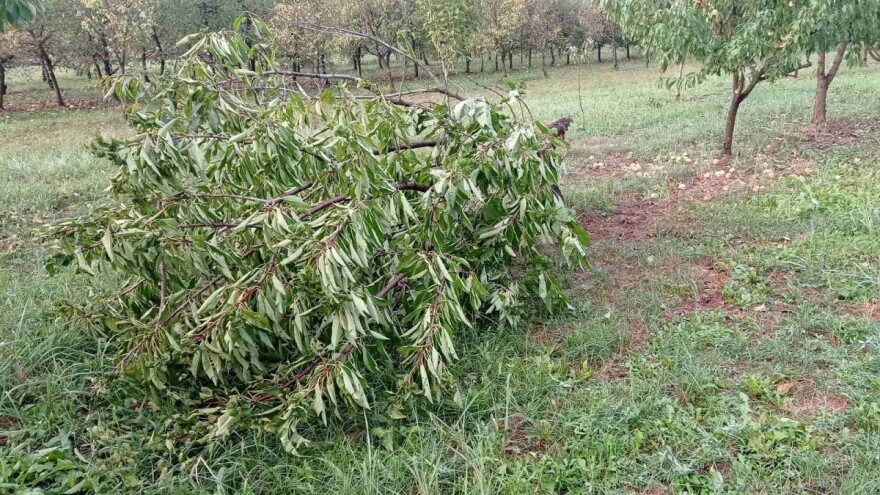Saborski Odbor za poljoprivredu raspravljao o sustavu obrane od tuče - što su rekli?